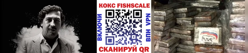 Cocaine Fish Scale  блэк спрут ТОР  Саянск 