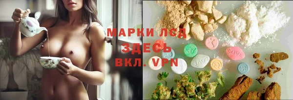 PSILOCYBIN Алзамай